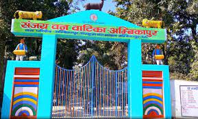 Place to visit near ambikapur