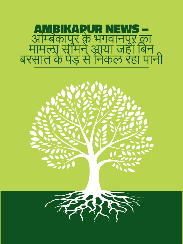 AMBIKAPUR NEWS – रायगढ़ बॉर्डर से मैनपाट तक उत्पात मचाता हाथियों का झुंड (1)
