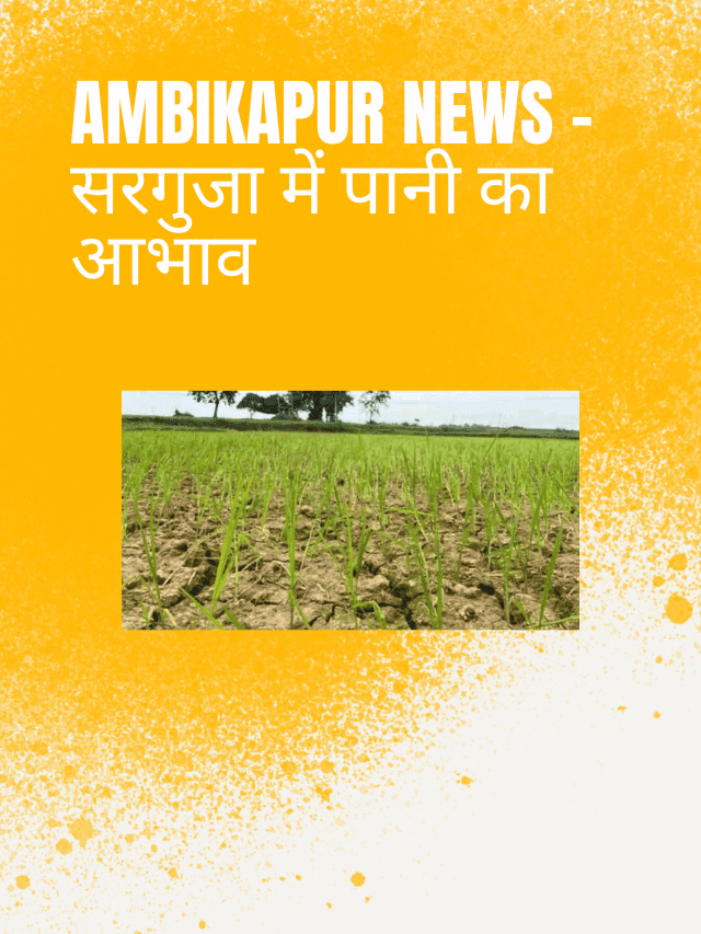 SURGUJA UNIVERSITY – संत गहिरा गुरु विश्वविद्यालय ने इस कक्षा का जारी किया रिटोटलिंग का परिणाम (4)