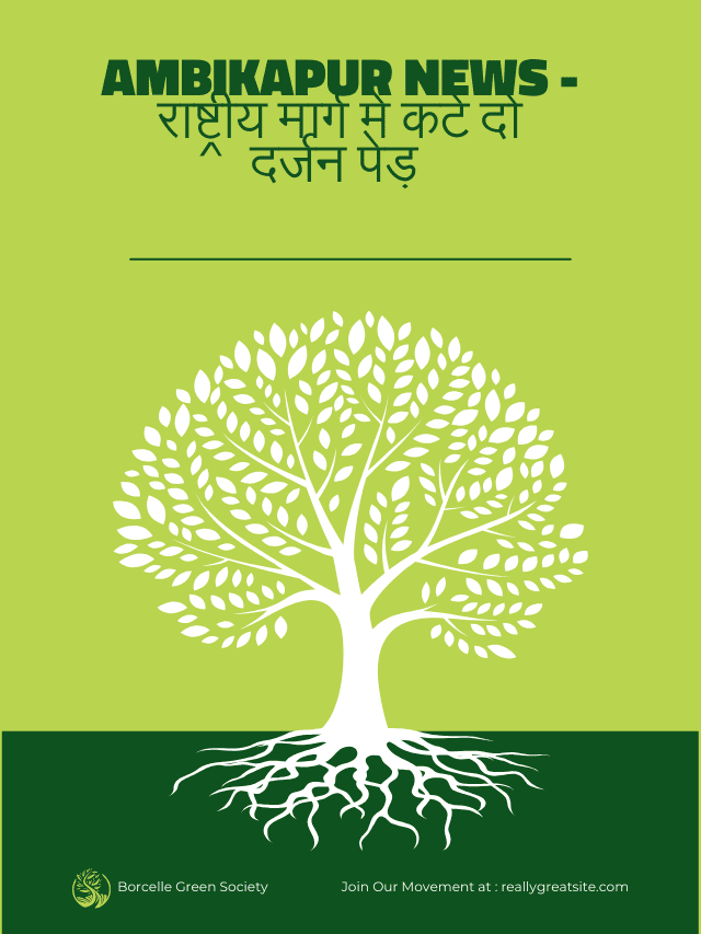 SURGUJA UNIVERSITY – संत गहिरा गुरु विश्वविद्यालय ने इस कक्षा का जारी किया रिटोटलिंग का परिणाम (7)