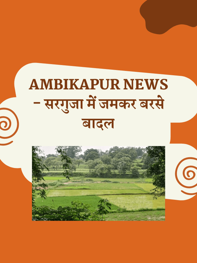 SURGUJA UNIVERSITY – संत गहिरा गुरु विश्वविद्यालय ने इस कक्षा का जारी किया रिटोटलिंग का परिणाम (44)