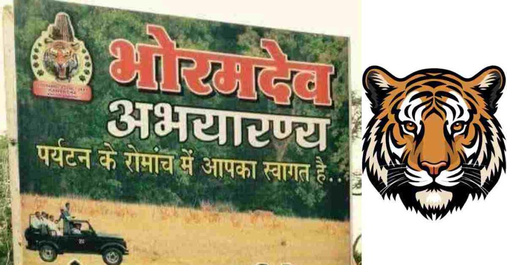 CHHATTISGARH NEWS 