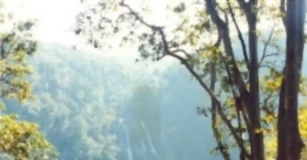 DANPURI WATERFALL JASHPUR 