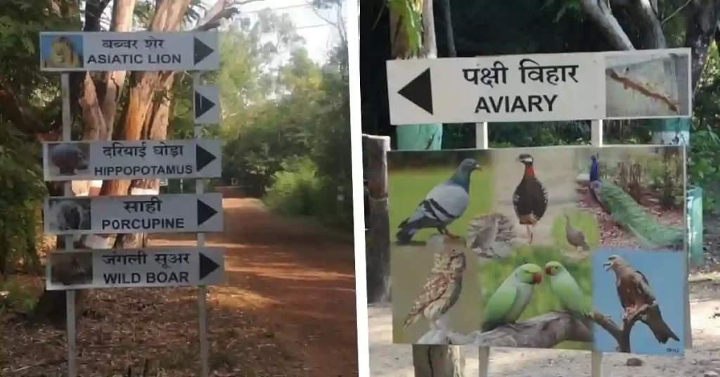 Kanan pendari Bilaspur 